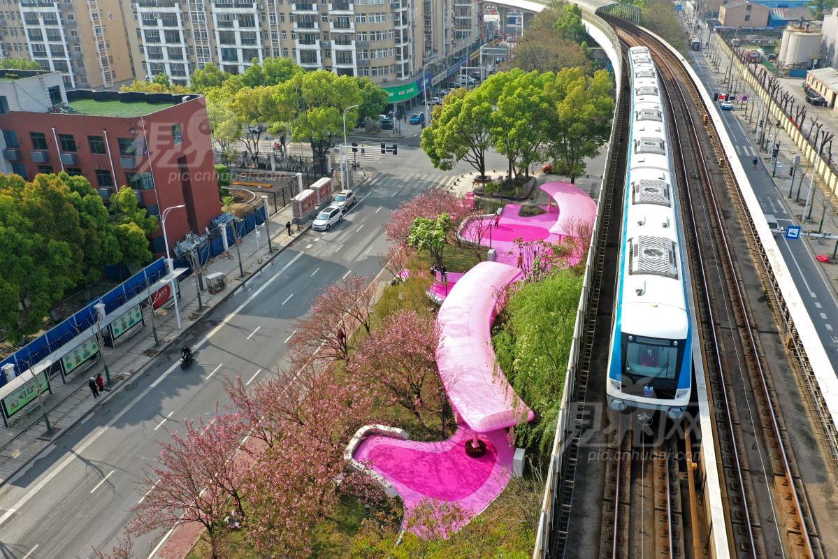 781123