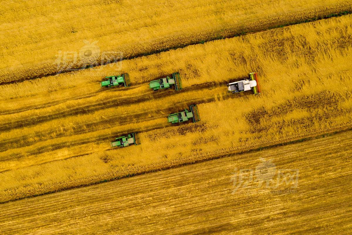 781304
