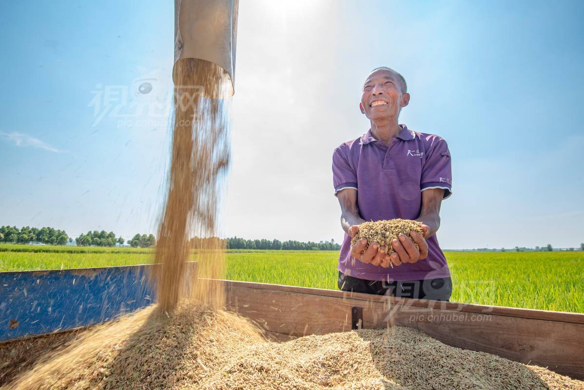 796678