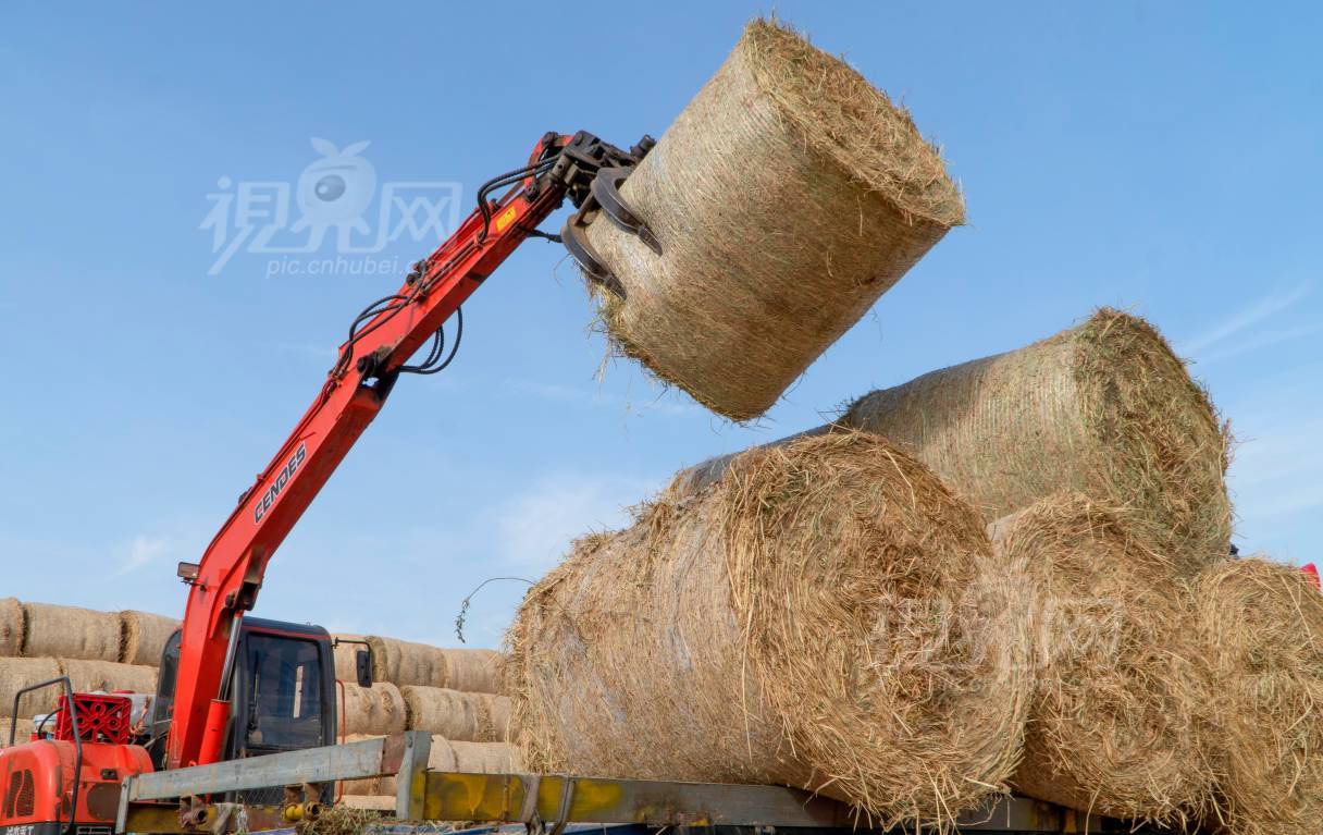 799561