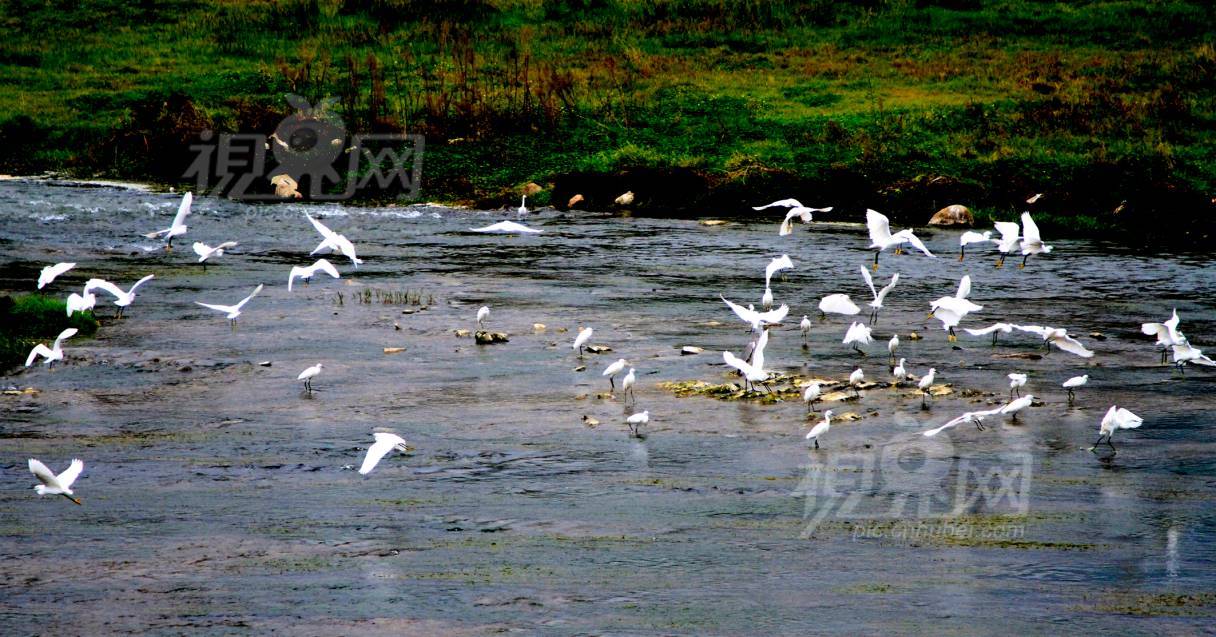 803548