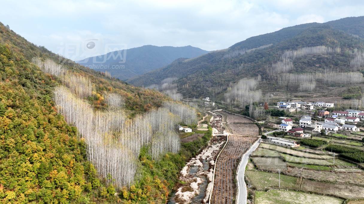 804267