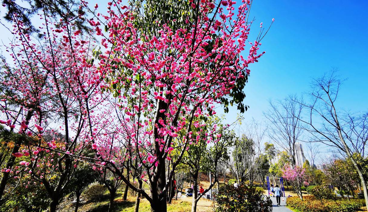 820232