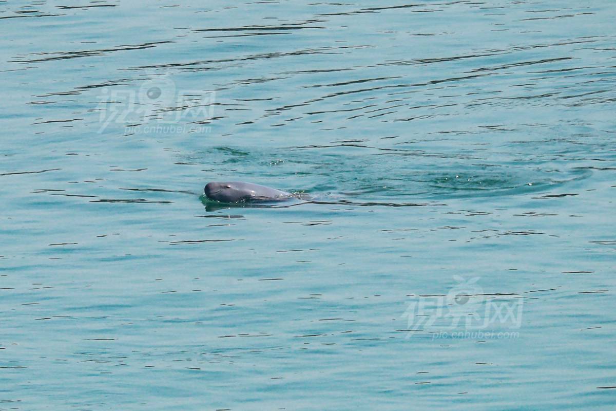 821346