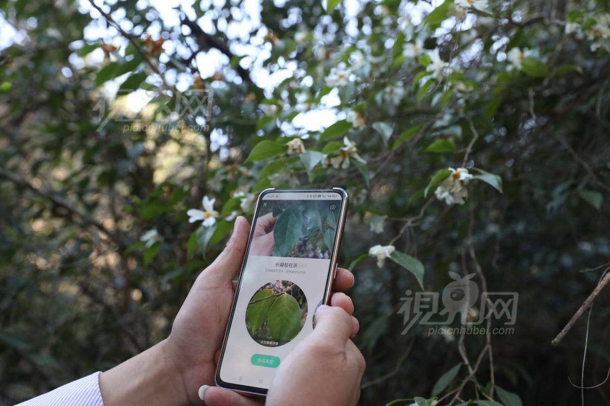 822442