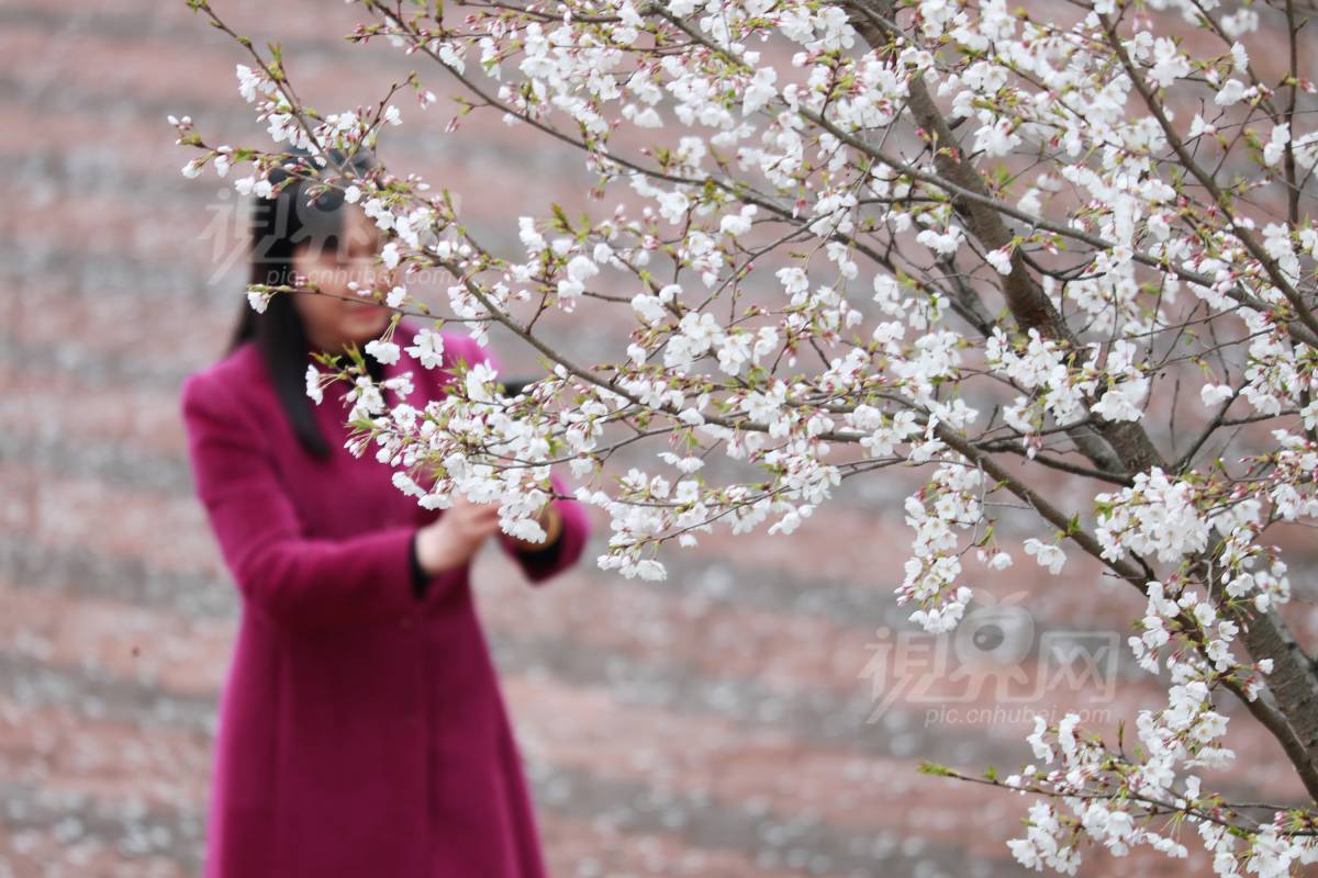 823334