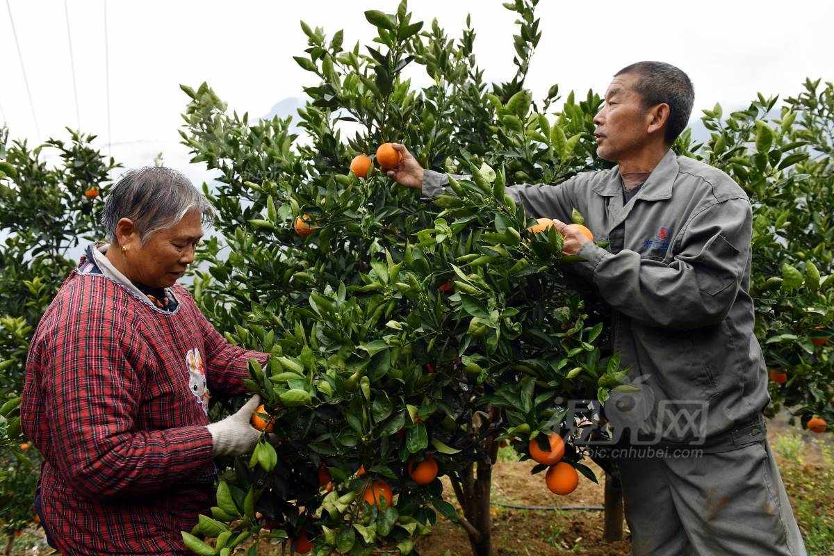 824183
