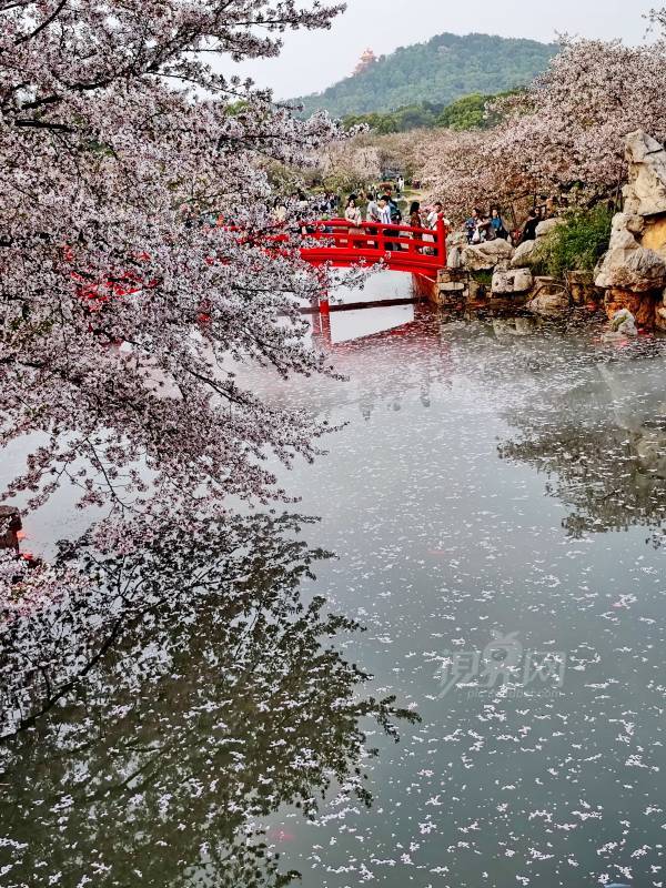 825437