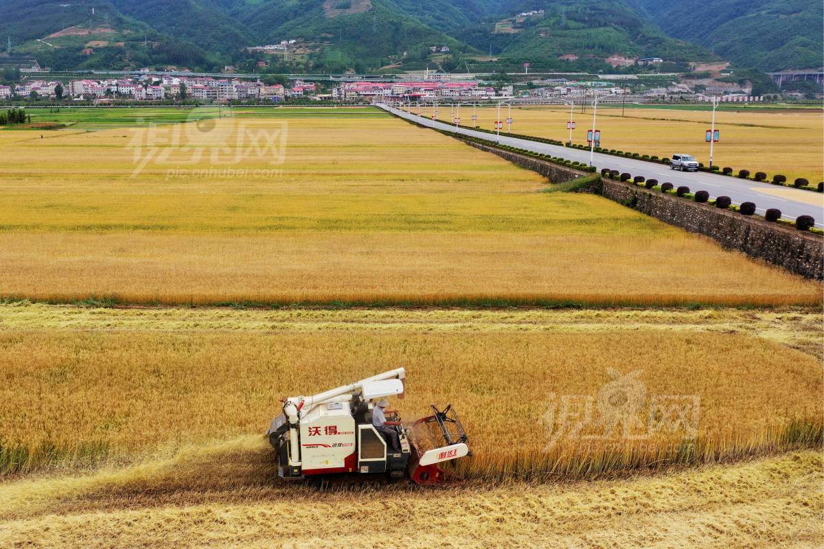 833022