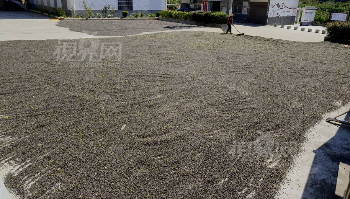 844076