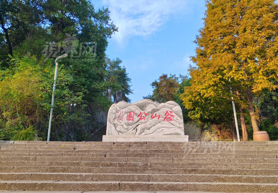 856806