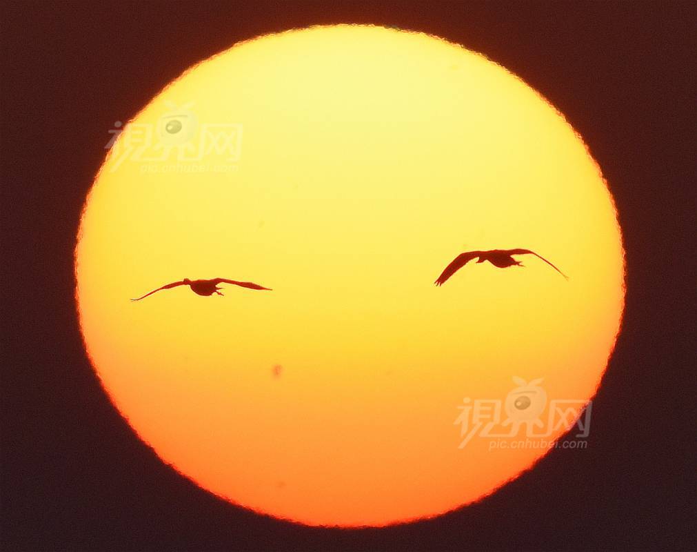 862625