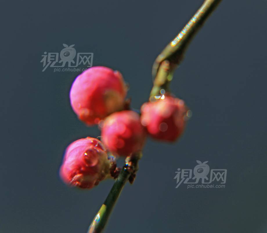 863675