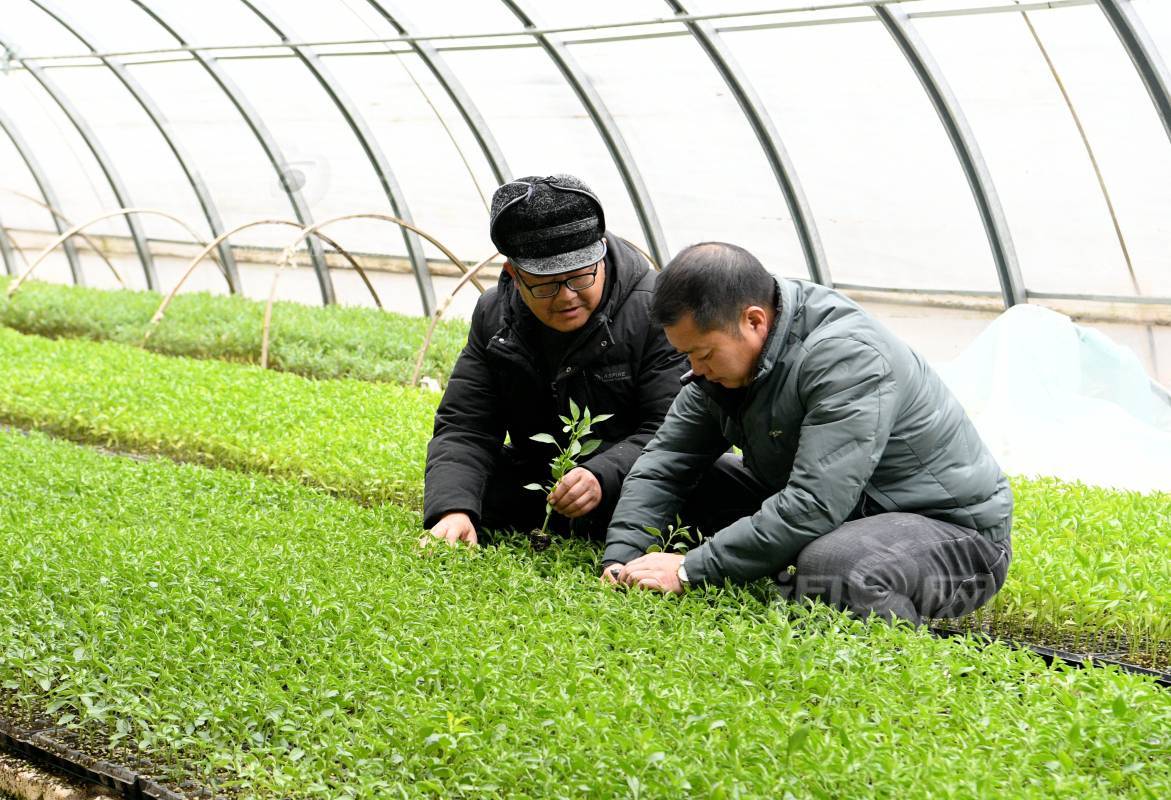 868828