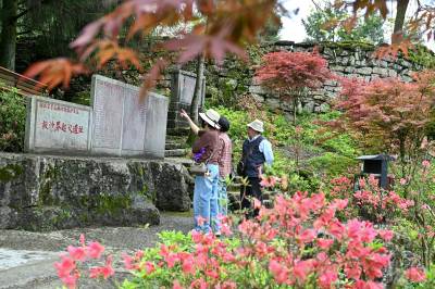 红色旅游引游人