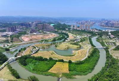 湖北宜昌：初夏湿地生态美