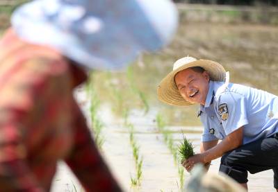 湖北荆门：“村警”助农忙