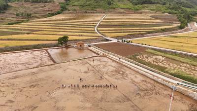 郧阳： 小流域治理     旱地变水田