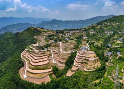 稻田回归高山乡村添美景 