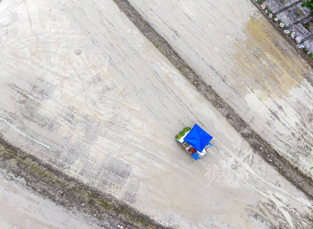 887593