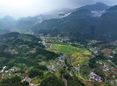 山村田园“丰”景如画