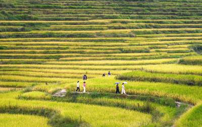 蕲春：农旅融合游客来