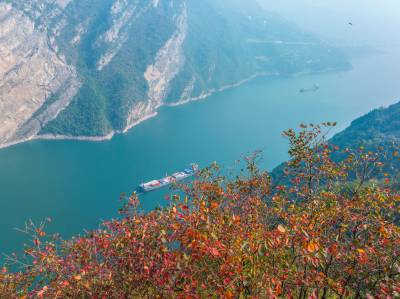 三峡红叶似彩霞