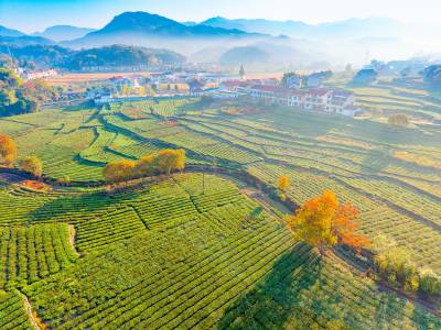  湖北英山：美丽乡村景如画