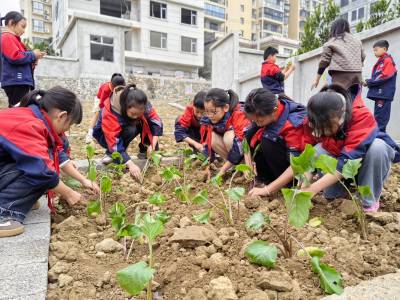 开种啦！宣恩乡村小学新建劳动实践基地启用