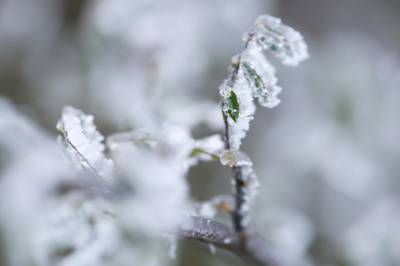 三峡降雪