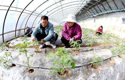 湖北保康：春回大地农事忙（APP已采）