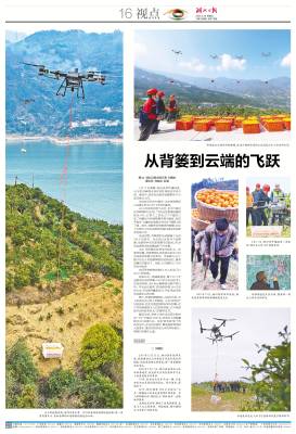 2025.2.28 从背篓到云端的飞跃