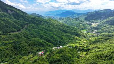湖北通城：和美乡村游客来