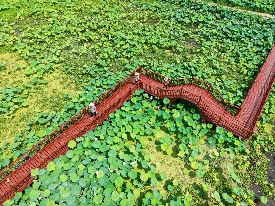 942159