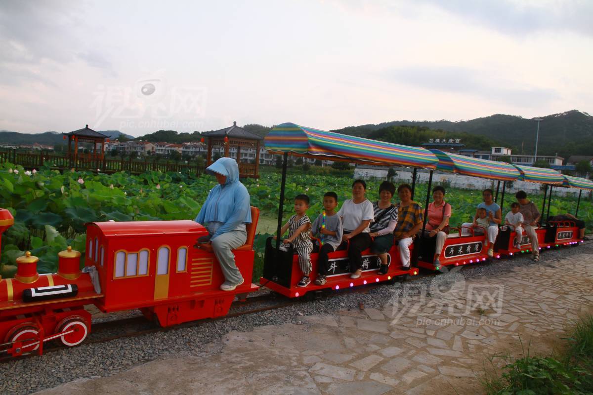 942481