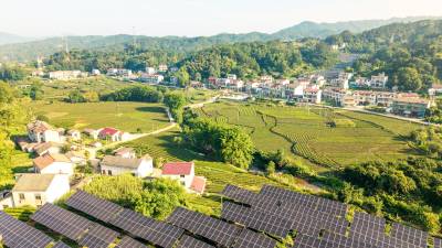 湖北英山：“茶光互补”助力乡村振兴