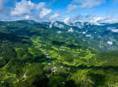 湖北秭归：夏日山村生态美