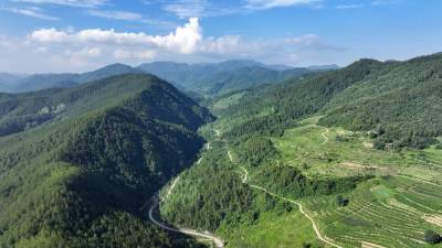 房县：“林长制”绘就绿美乡村