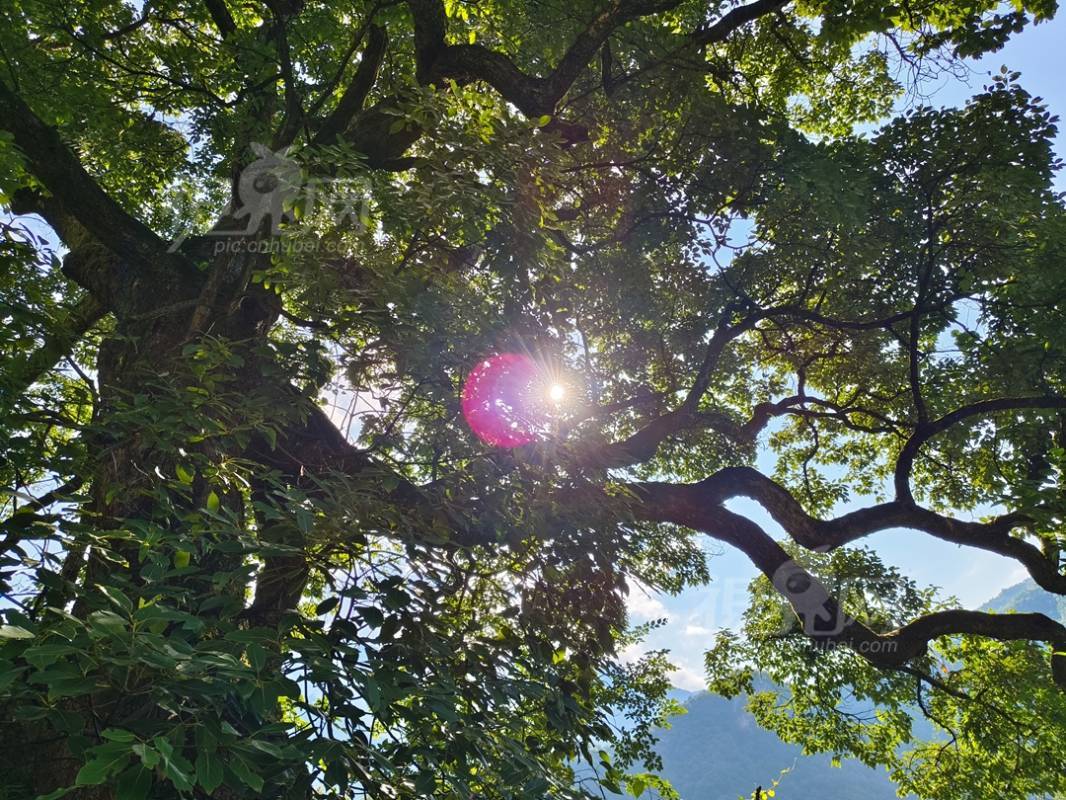 943938
