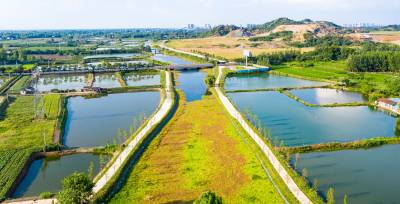 嘉鱼县蜜泉湖畔添新景市民散步赏湖景
