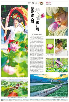 2025.7.22 晨昏皆入画 荷香满江城