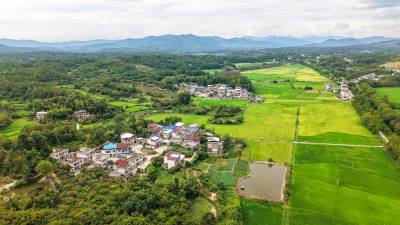 湖北罗田：丰收在望山村美