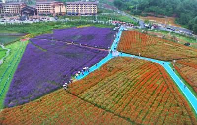 湖北巴东：盘活闲置土地助增收