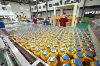 “枣阳皇桃”精深加工助农增收（客户端采稿）