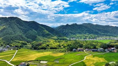 湖北通城:山村生态美  农家稻谷香（客户端采稿）