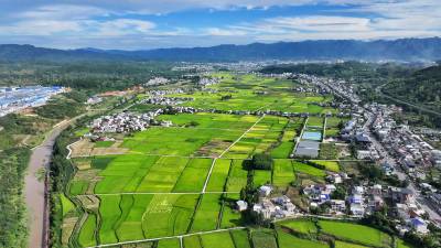  房县：旱地变水田 增粮又丰产