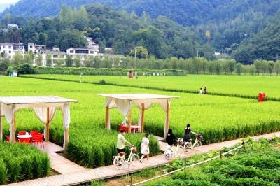 湖北恩施：秋游乡村赏“丰”景（客户端采稿）