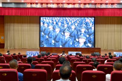 通城：各界观看阅兵盛典  纪念抗战胜利80周年 