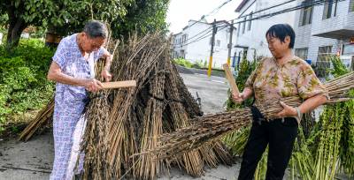 嘉鱼105岁老人付友香打芝麻