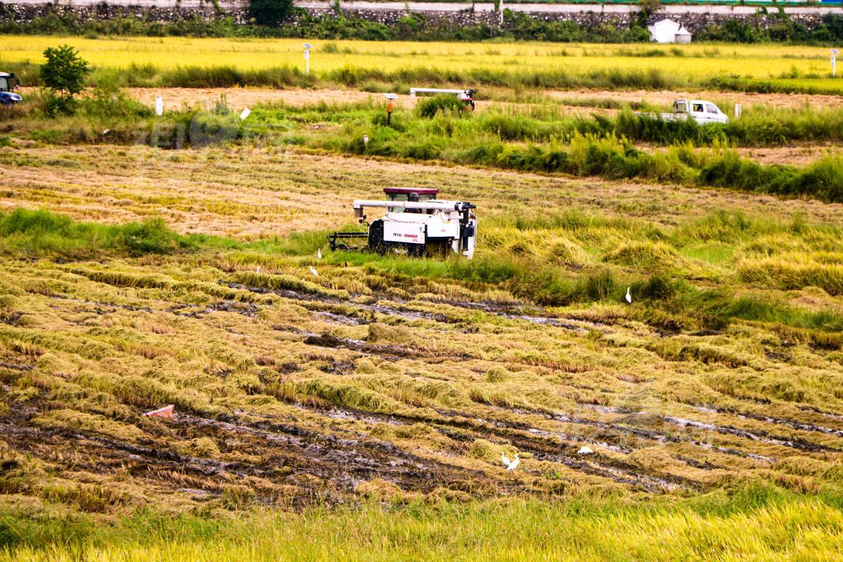 950710